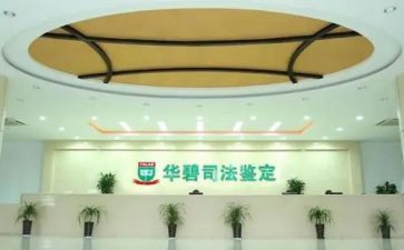 司法鉴定所工作总结6篇