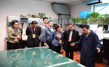 社区监委会工作总结精选8篇