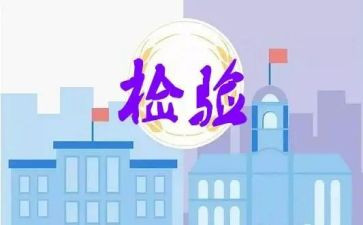 检验的年度总结5篇