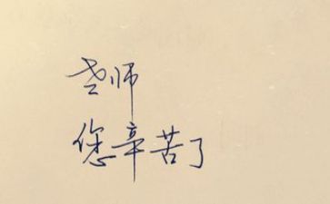 体育教师工作计划个人2023参考6篇