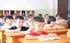 教学活动和工作总结参考8篇