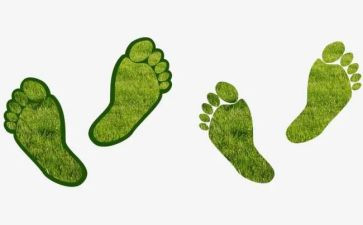 脚印桥健康教案5篇