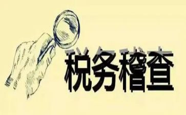 2024稽查工作总结8篇