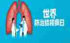 结核工作半年总结5篇