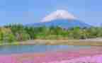 八年级写景作文8篇