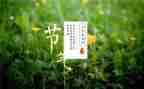 中班24节气歌教案8篇