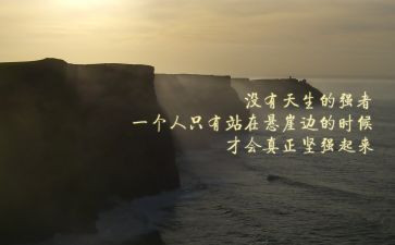论团队精神的心得体会8篇