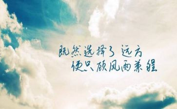 服务精神的心得体会7篇