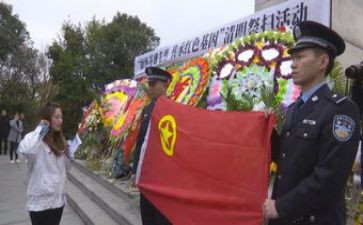 局清明节网上祭扫活动总结7篇