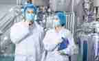 通用技术个人总结优秀8篇
