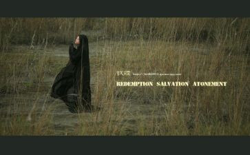 肖申克的救赎心得体会5篇