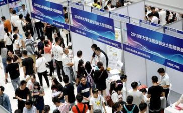 培训就业心得体会5篇