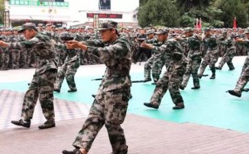 军训第7天心得体会6篇