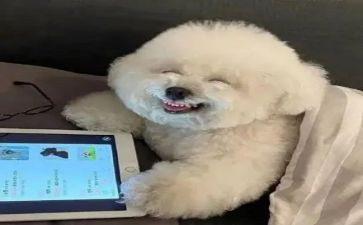 打开心门作文8篇