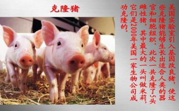 克隆,作文优秀8篇
