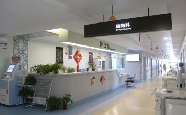 2024年科室半年总结5篇