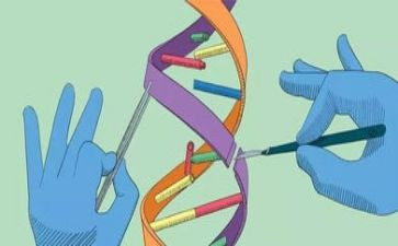 小学教师科学培训心得8篇