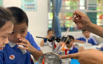 幼儿园科学课工作总结5篇