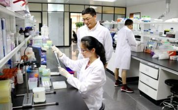 教师个人科研工作总结8篇