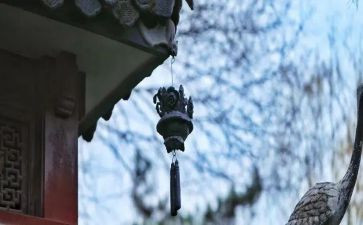 成长中的苦与乐演讲稿5篇