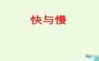 快与慢的调研报告优秀5篇