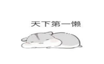 最近比较懒作文参考7篇