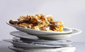 拒的浪费粮食演讲稿8篇