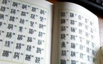 滥用字的调查报告7篇