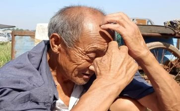 老人健康活动总结8篇