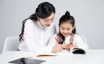 专业老师的工作计划8篇