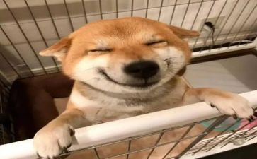 音乐培训后心得体会模板5篇