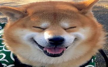 读书为快乐演讲稿通用8篇