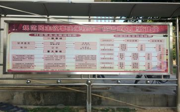 村两委会年终工作总结模板5篇