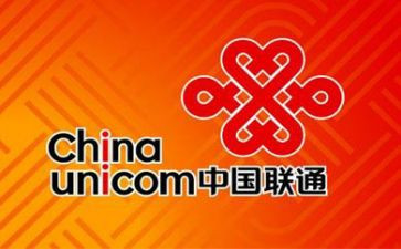 2024年联通工作总结精选5篇