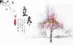 立冬的活动总结8篇