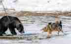 猎围警示教育心得体会5篇