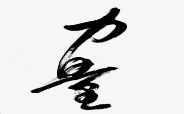 团队的力量心得6篇