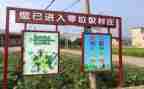 请垃圾分类调查报告6篇