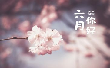 六月的工作总结7篇