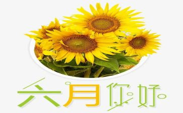 幼儿园大班六月工作计划6篇