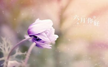 六月的工作总结精选5篇