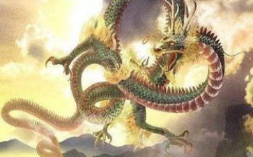 武士与龙的读后感参考5篇