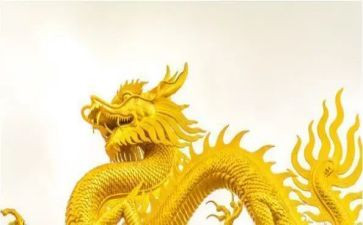 龙舟活动方案5篇