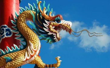 武士与龙的读后感6篇
