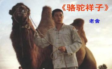 心得体会骆驼祥子500字5篇
