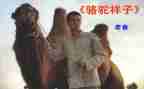 心得体会骆驼祥子500字5篇