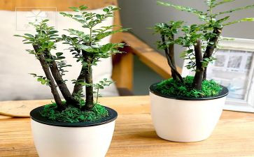 绿化队养护工作计划7篇
