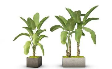 绿色活动总结推荐6篇