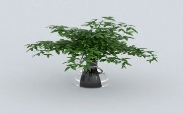 绿色低碳出行作文8篇