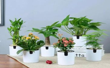 园林绿化年度工作总结7篇